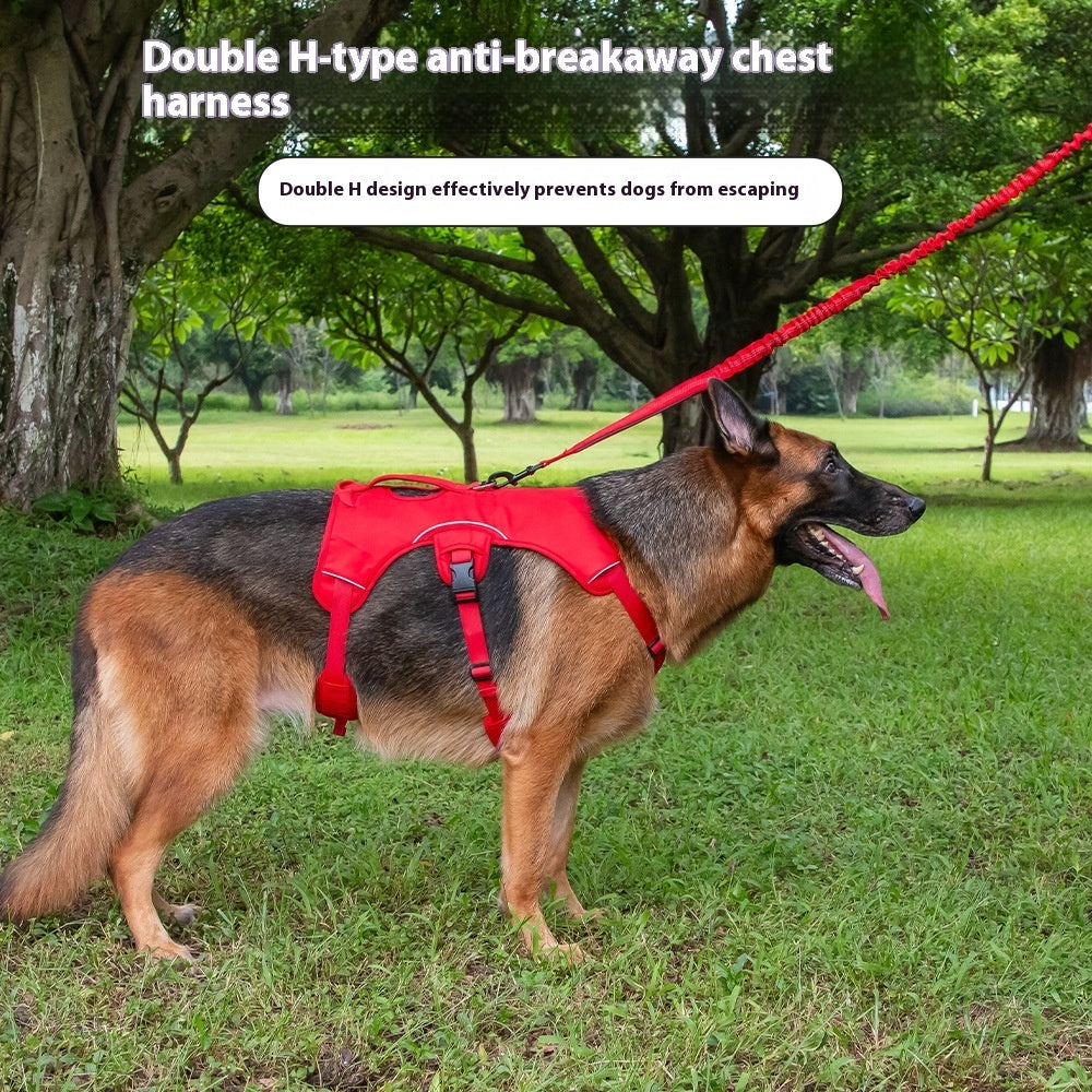 No-Pull Dog Harness – Secure, Comfy, and Escape-Proof