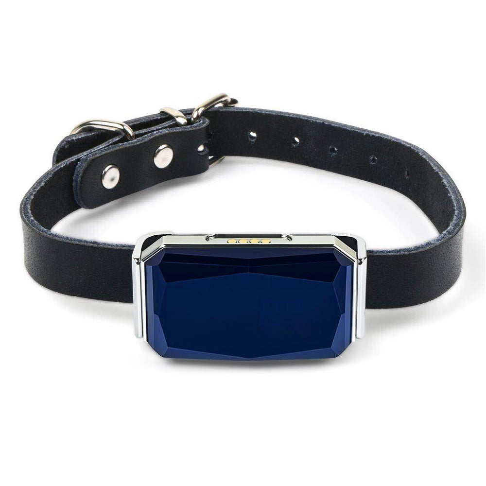 Pet GPS Tracker – Real-Time Location & SOS Alerts