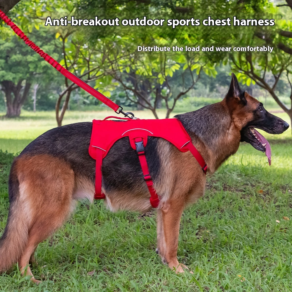 No-Pull Dog Harness – Secure, Comfy, and Escape-Proof