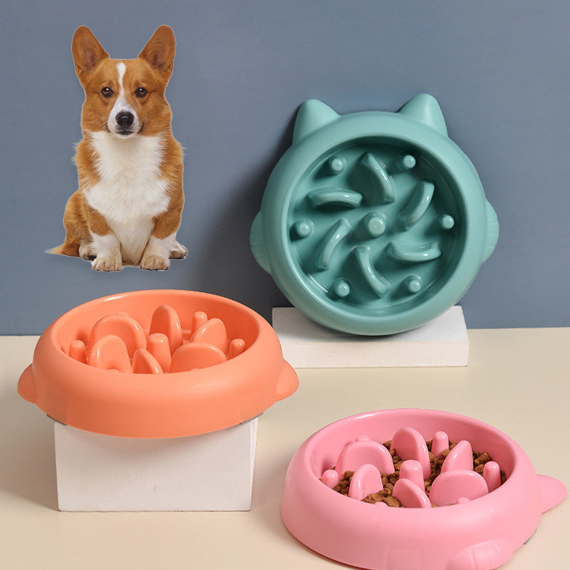 Slow Feeder Dog Bowl – Prevent Bloating, Gulping & Choking