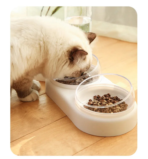 Automatic Pet Feeder & Water Bowl – Double Bowl Raised Stand