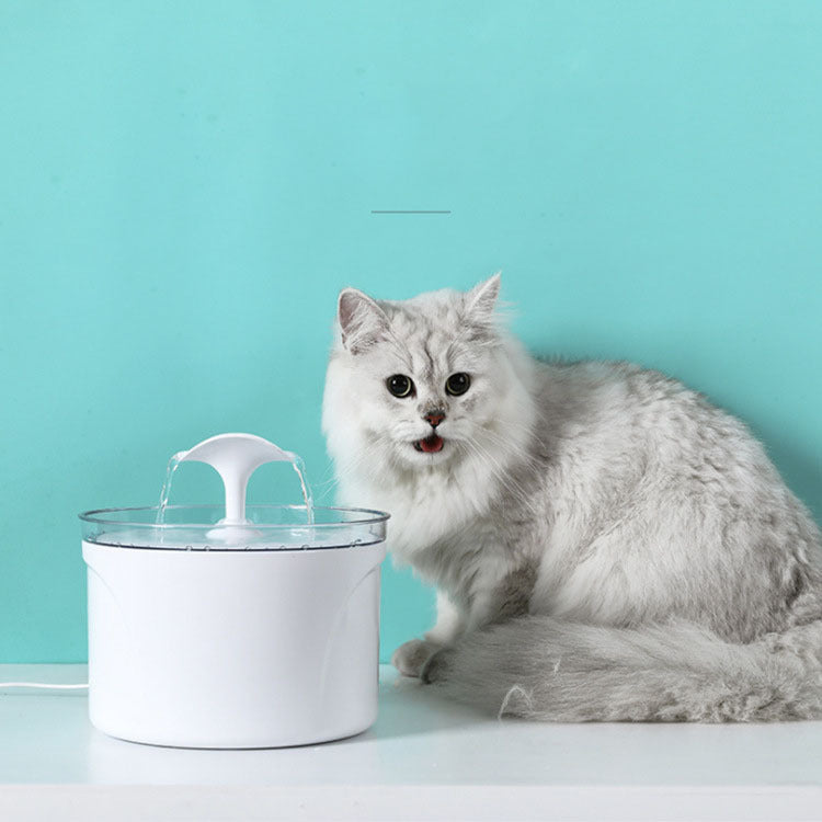 Smart Pet Water Fountain – Fresh Water All Day